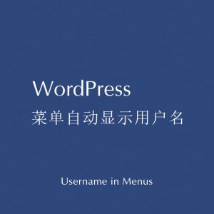 菜单中自动显示用户名