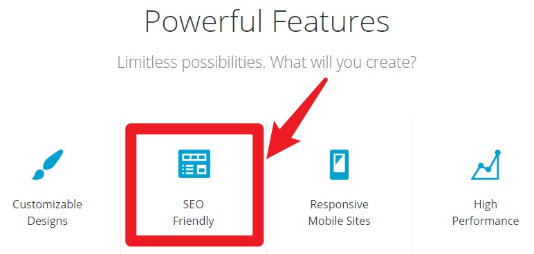 wp homepage seo